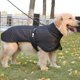 thumbnail image 3 of Chaqueta reflectante para perros, ropa cálida para mascotas, ropa casual para exteriores para mascotas MFZFUKR CPB-US-FXT453-1, 3 of 6