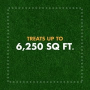 Spectracide Weed Stop for Lawns Plus Crabgrass Killer Concentrate, 40 oz
