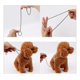 thumbnail image 3 of Collar De Acero Inoxidable Con Correa Para Perros Y Gatos, 3 of 8