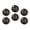 M050, variant on Glass Refrigerator Magnet 6Pcs Magnetic Fridge Sticker,Decor for Kitchen,Whiteboard,Cabinet,Exposure Bear With Silhouette Background