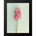 thumbnail image 2 of Gardner, Sarah 14x18 Black Modern Framed Museum Art Print Titled - Soft Pink Hyacinth, 2 of 5