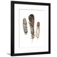 thumbnail image 1 of Earthtone Feathers I, Framed Art Print Wall Art by Alicia Ludwig Sold by Art.Com, 1 of 5