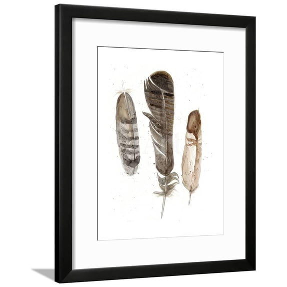 Earthtone Feathers I, Framed Art Print Wall Art by Alicia Ludwig Sold by Art.Com