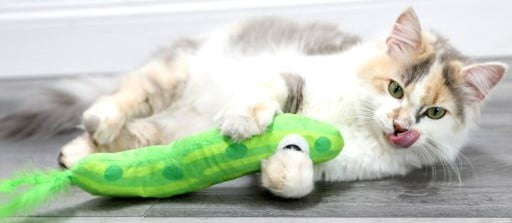 Pet Zone Catnip Jumbo Pickle Kicker Cat Toy, Green