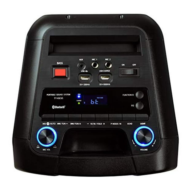 Toshiba TY ASC65 Wireless Speaker System w FM Stereo Radio 60
