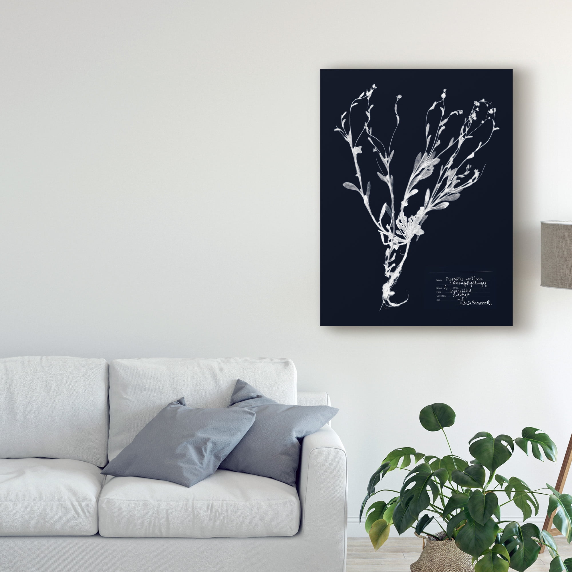 Trademark Fine Art 'Impressions on Indigo II' Canvas Art by Vision Studio