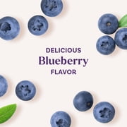 Natrol ® MelatoninMax ™ Sleep Gummy، Blueberry Flavor، 10 mg، 50 Count