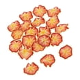 thumbnail image 4 of simhoa 20 Iron-on Patches For Decorative Sewing Clothing Orange, 4 of 8