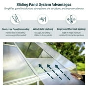 Palram - Canopia Mythos 6 x 4 Polycarbonate/Aluminum Walk-In Greenhouse – Silver - with Roof Vent