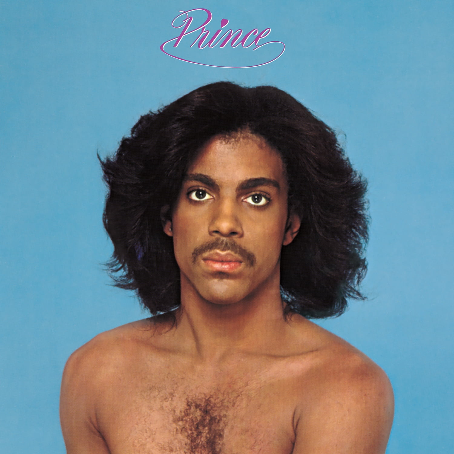 Prince - The Hits 1 - Music & Performance - CD - Walmart.com
