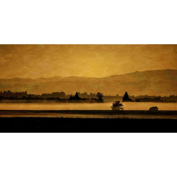 MARMONT HILL  - Soft Blanket of Fog Painting Print on Canvas - Multi-Color 24 x 12