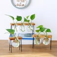 thumbnail image 5 of Plants Terrarium Glass Bulb Terrarium with Retro Solid Wooden Stand for Hydroponics Plants Desktop Home Garden Wedding Décor, 5 of 9