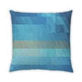 thumbnail image 1 of Ahgly Company Indoor Square Contemporary Throw Pillow, 18 inch by 18 inch, 1 of 5