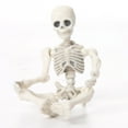 thumbnail image 5 of Xuniizn Halloween Skeleton, 2Pcs Mini 3.6" Skeleton with Realistic Posable and Movable Joints for Yard Patio Lawn Garden Party Halloween Decoration Outdoor & Indoor, 5 of 9