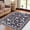black, variant on Modern Accent Area Rugs, Floral Carpet with Non-Slip Backing, Low Pile Floor Cover, Machine Washable Ultra-Soft Indoor Mat for Living Room, Bedroom