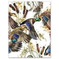 thumbnail image 2 of Design Art - Illustration de Canard de Couleur, 2 of 4