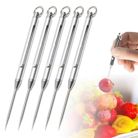 Metal Retractable Toothpick,Portable Titanium Toothpick,Pocket Push-pull Toothpick,Silver Alloy Toothpicks with Keychain,Reusable Toothpicks,for Home Travel Camping Silver Set of 5