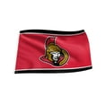 thumbnail image 1 of The Sports Vault 3 X 5 Flag Ottawa Senators, 1 of 1