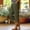 Army Green, variant on WPPGONE Linen Capri Pants for Women with Pockets Elastic Waisted Drawstring Straight Leg Side Slit Buttons Relaxed Bottoms Summer Vacation Casual Trousers with Pockets