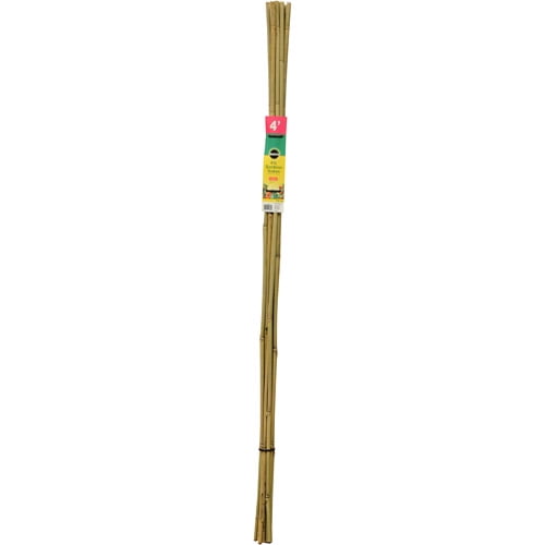 Details about   144 Miracle-Gro 4' Natural Bamboo Tomato Support Stakes New 12 Bundles of 12 