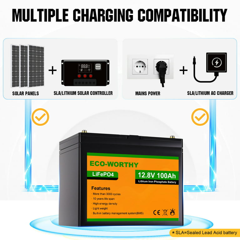 Eco-Worthy 24V 100Ah LiFePO4 Lithium Battery BMS 3000+Deep Cycles  Rechargeable 