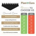 thumbnail image 4 of QUEST -100 Charcoal Incense Cones 1 Bulk Variety Set Assorted 10 Packs 10 Scents Lot, 4 of 6