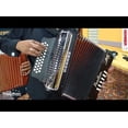 thumbnail image 5 of Hohner Panther HA3100FB FBbEb Accordion, 5 of 8