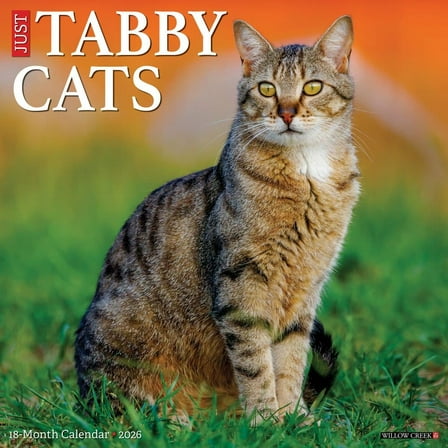 Willow Creek Press, Tabby Cats 2026 Wall Calendar, 12'' X 12'', 18-Month Calendar with Stapled Binding