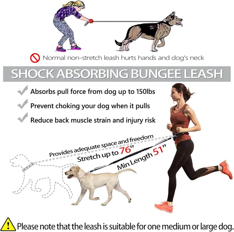 Hands Free Dog Leash, Waist Running Leash with Zipper, Walking Pouch for Medium Large Dogs, Dual Handle and Retractable Bungee for Training Jogging Hiking