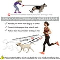 thumbnail image 2 of Hands Free Dog Leash, Waist Running Leash with Zipper, Walking Pouch for Medium Large Dogs, Dual Handle and Retractable Bungee for Training Jogging Hiking, 2 of 4