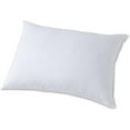 thumbnail image 3 of 100% Cotton Bed Bug, Dust Mite & Allergy Control Pillow Protector - Queen, 3 of 5