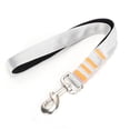 thumbnail image 1 of Pet Dog Traction Rope, Multifunction Pet Traction Rope, Nylon Traction Rope Pet Dog Pets for Outgoing Walking black,silver, 1 of 7