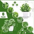 thumbnail image 6 of 6 Pack Small Artificial Plants Farmhouse Pot, 6 of 6