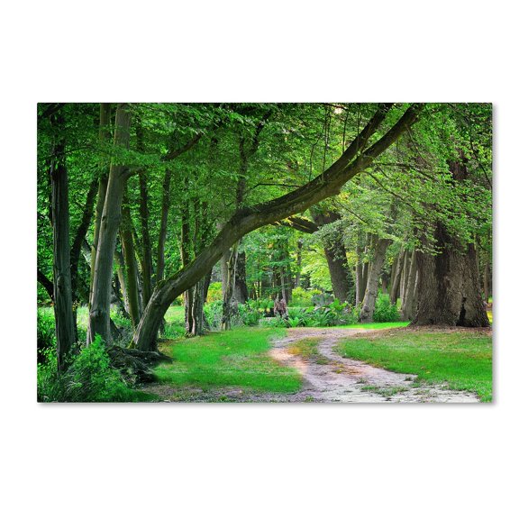 Trademark Fine Art "Intimate Landscape" Canvas Art by Philippe Sainte-Laudy