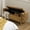Golden, variant on Tina's Home Upholstered Flip-Top Storage Bench Button Tufted with Pillows Golden Base for Home Bedroom Coral