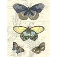 thumbnail image 3 of Vision Studio 12x14 Black Modern Framed Museum Art Print Titled - Butterfly Delight II, 3 of 5