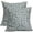 Dusty Blue, variant on Sage Green Floral Pillow Covers 18x18 Inch Set of 2, Rustic Cottage Style Cute Flower Block Print Decorative Throw Pillow Cases Cushion Covers Vintage Decoration Gift Farmhouse Sofa Couch Bed Decor