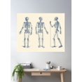 thumbnail image 2 of In Motion Skeletal Diagram - Vintage Anatomy Poster Wall Art, Modern Wall Decor For Living Room Bedroom, 8x12 UNFRAMED, 2 of 3