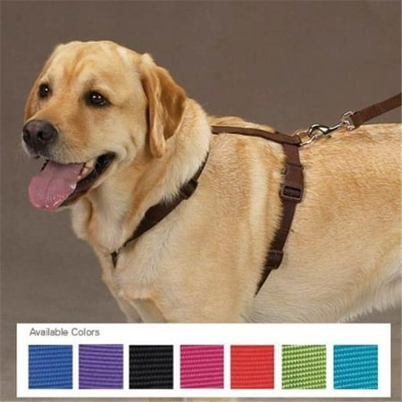 Zack & Zoey US2395 14 69 Nylon Harness 14-20 In Orange