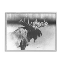 Stupell Industries Moose in Rustic Forest Realistic Pencil Animals & Insects Drawing Gray Framed Art Print Wall Art, 11 x 14