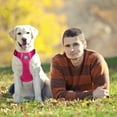 thumbnail image 3 of PoyPet Dog Harness Adjustable Soft Breathable Mesh Pet Harness No Pull Choke-Free Double Padded Vest for Small Medium and Large Dogs,Fuchsia L, 3 of 8