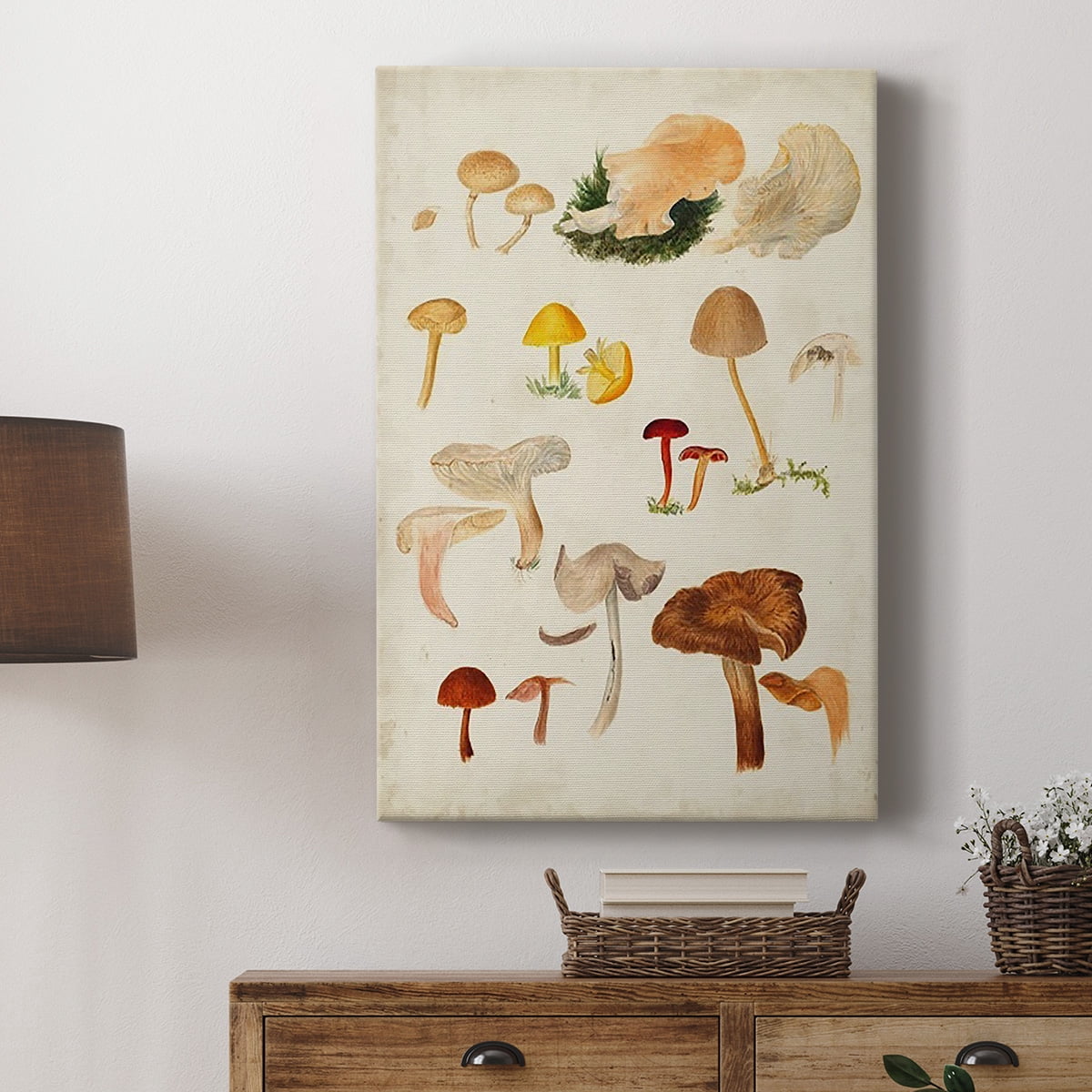 Mushroom Species XII Premium Gallery Wrapped Canvas - Ready to Hang
