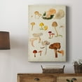thumbnail image 5 of Mushroom Species XII Premium Gallery Wrapped Canvas - Ready to Hang, 5 of 9