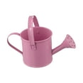 thumbnail image 1 of Garden Small Water Spraying Pot Flower Kettle Metal Watering Can Sprinkled, 1 of 9