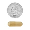 thumbnail image 5 of Spring Valley NAC, 1,000 mg Vegetarian Capsules, Immune Support Dietary Supplement, 100 Count, 5 of 12