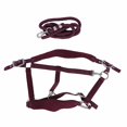 thumbnail image 2 of Ensemble de Licou Cheval, Laisse de Licou Cheval Réglable avec Laisse de 2m pour Entraînement, 2 of 7