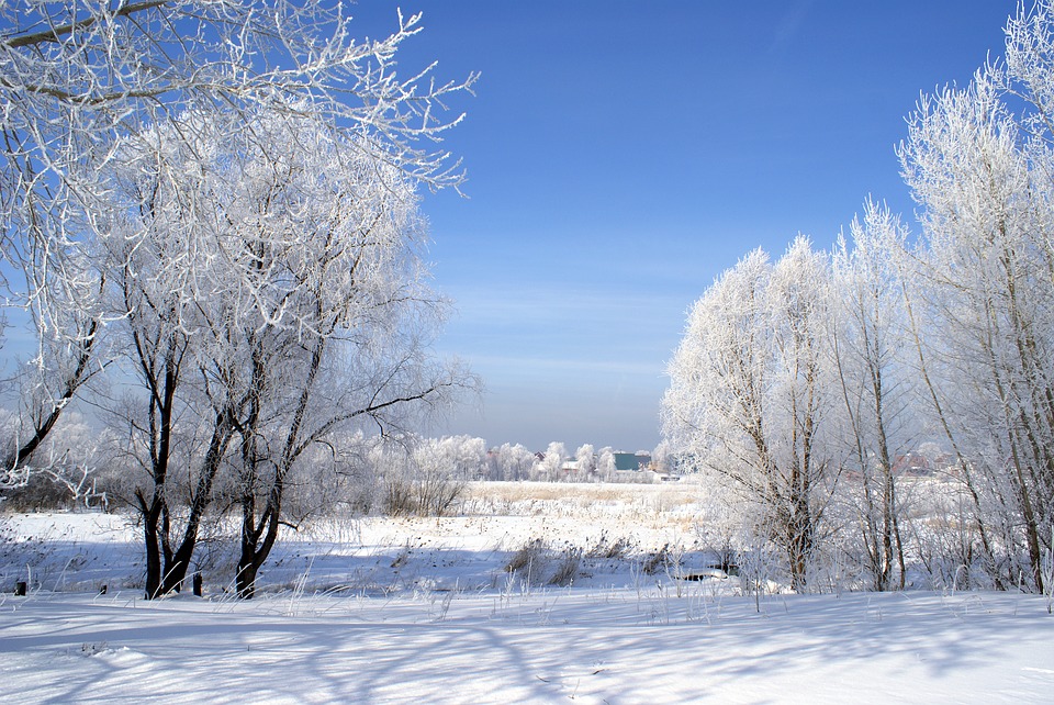 Snow Nature Winter Landscape Cold Sunny Day20 Inch By 30 Inch