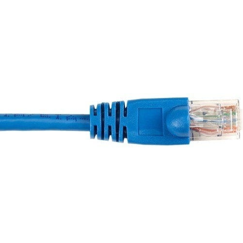 Black Box CAT6 Value Line Patch Cable Stranded Blue 6 ft