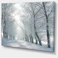 thumbnail image 2 of Winter Road Rétroéclairé Mon Soleil du Matin - Impression sur Toile Forêt, 2 of 4