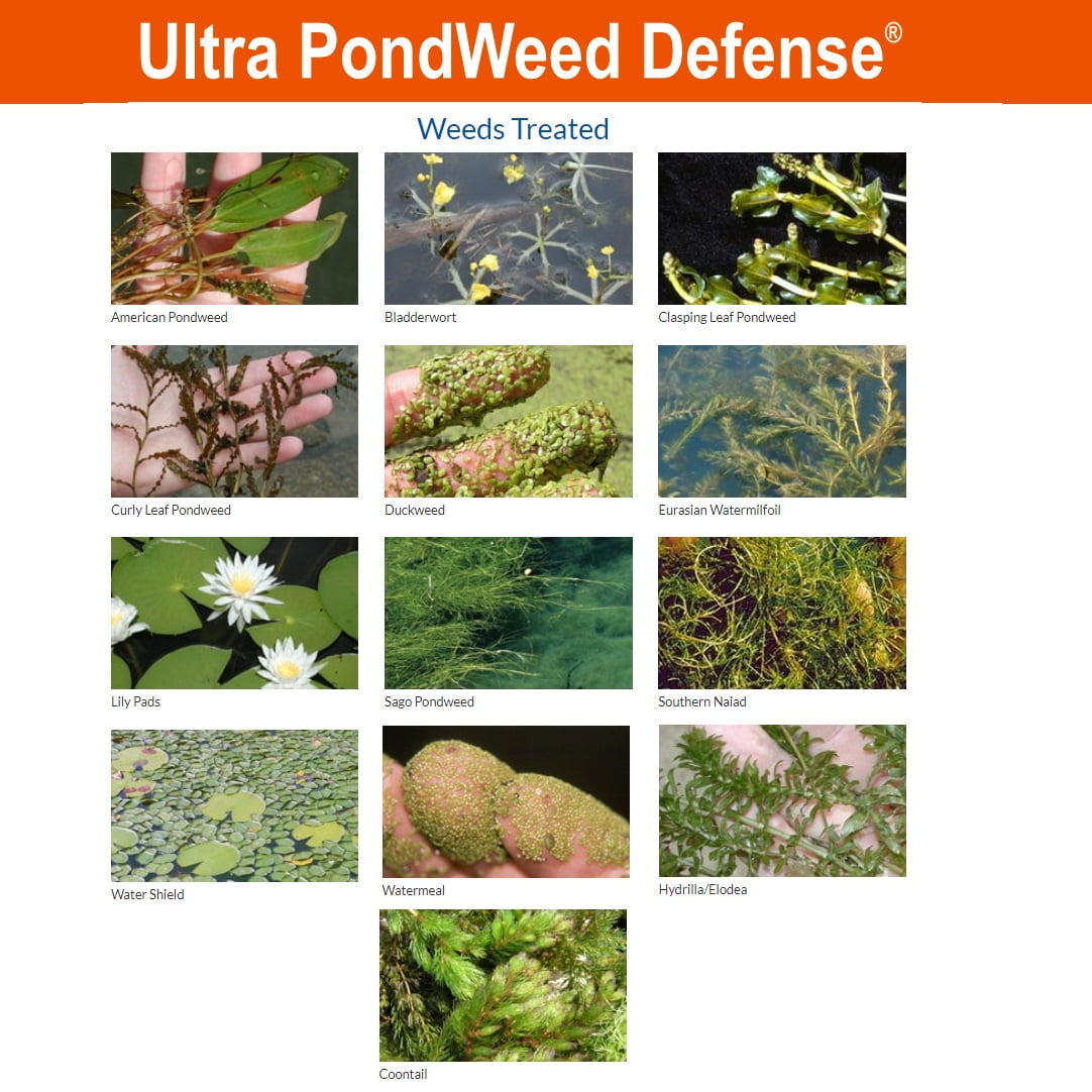 Airmax Ultra PondWeed Defense, 32 ounce